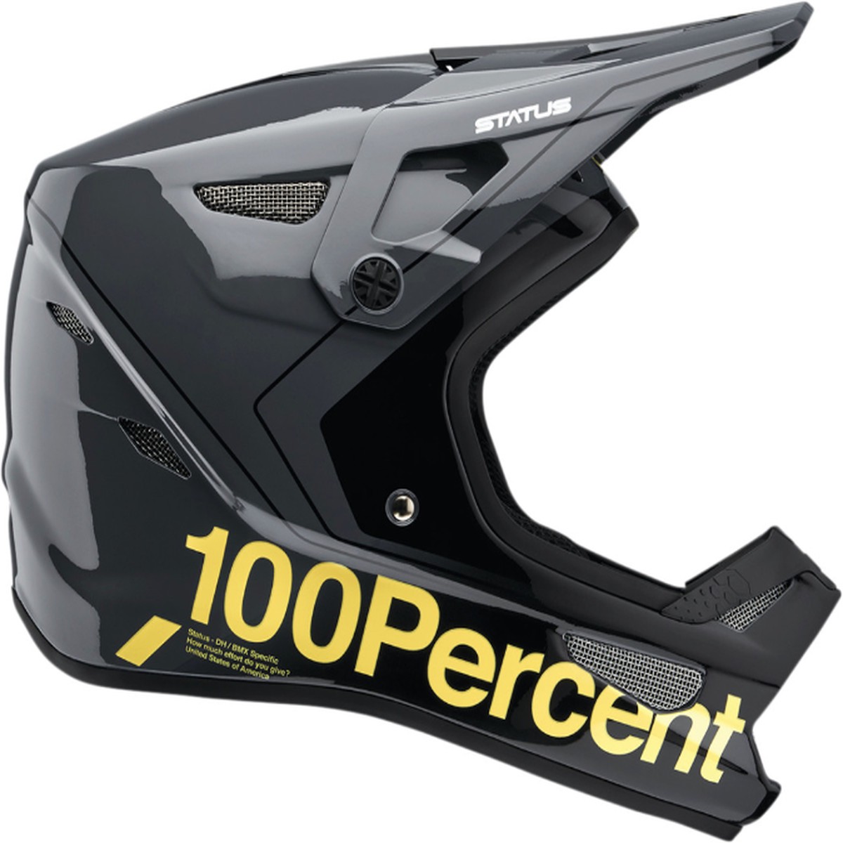 100 Status Carby Helmet