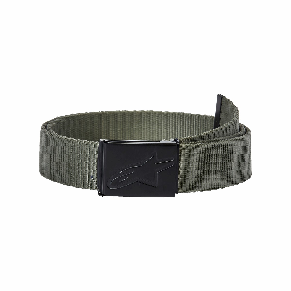 Ageless Web Belt
